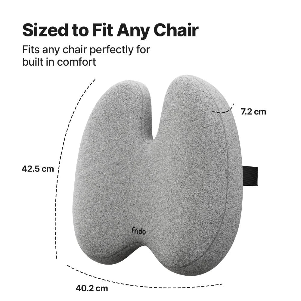 Ultimate Comfort Duo – Cushion + Support Like Never Before
